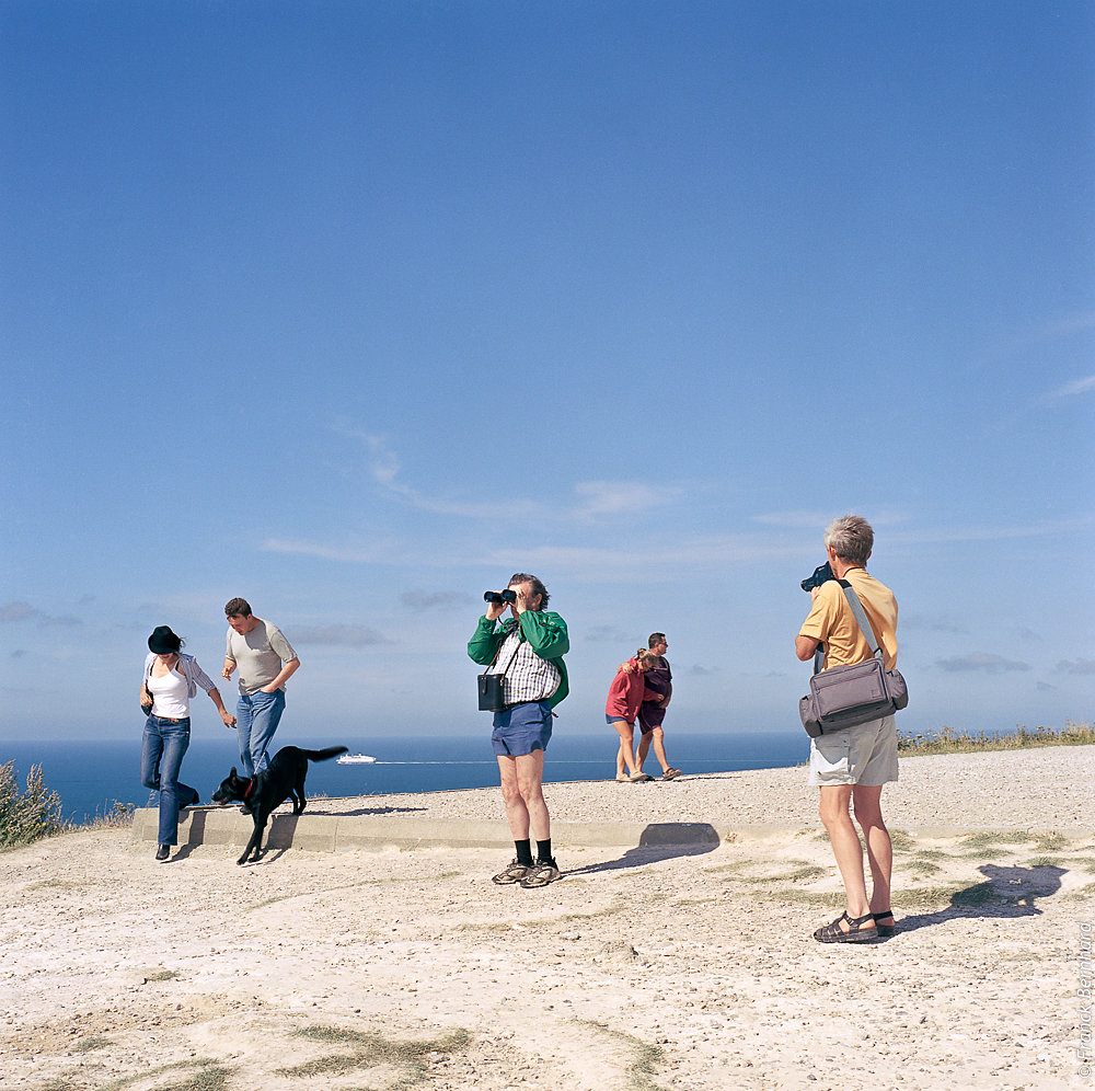 Best-groupe-chien.jpg