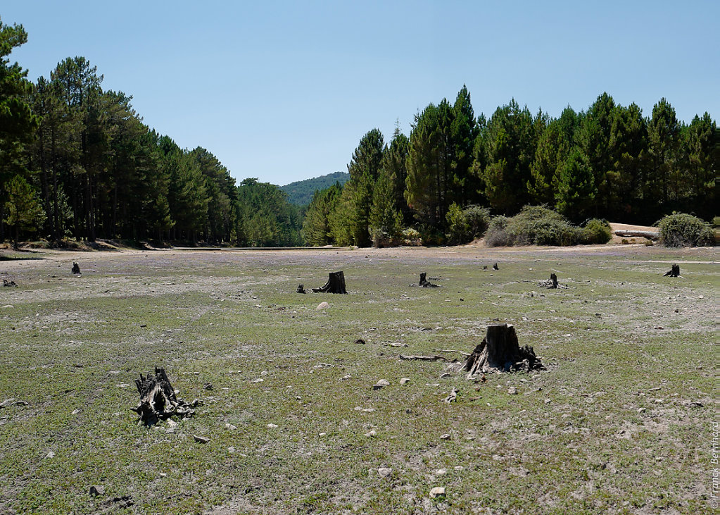 L1130683.jpg