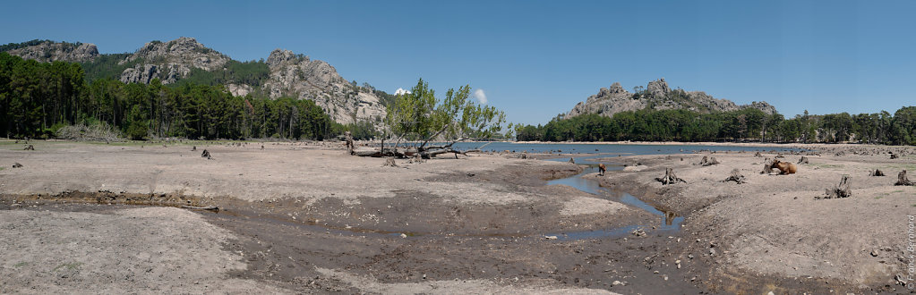 L1130691.jpg