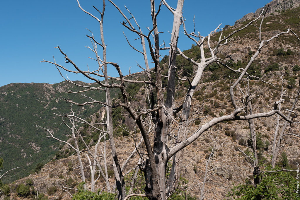 L1140265.jpg