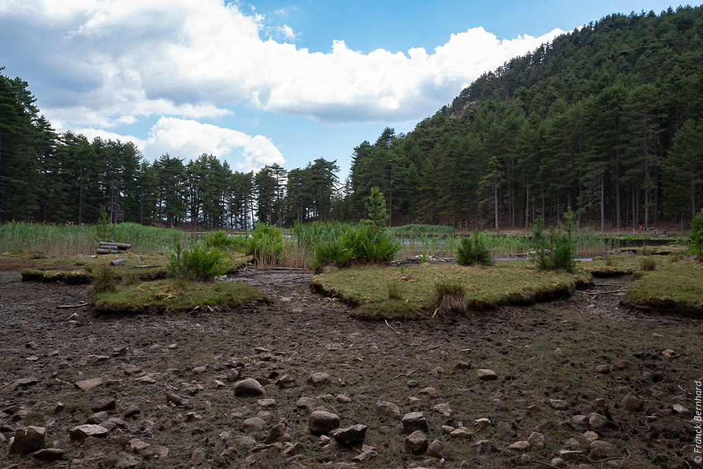 L1140365.jpg