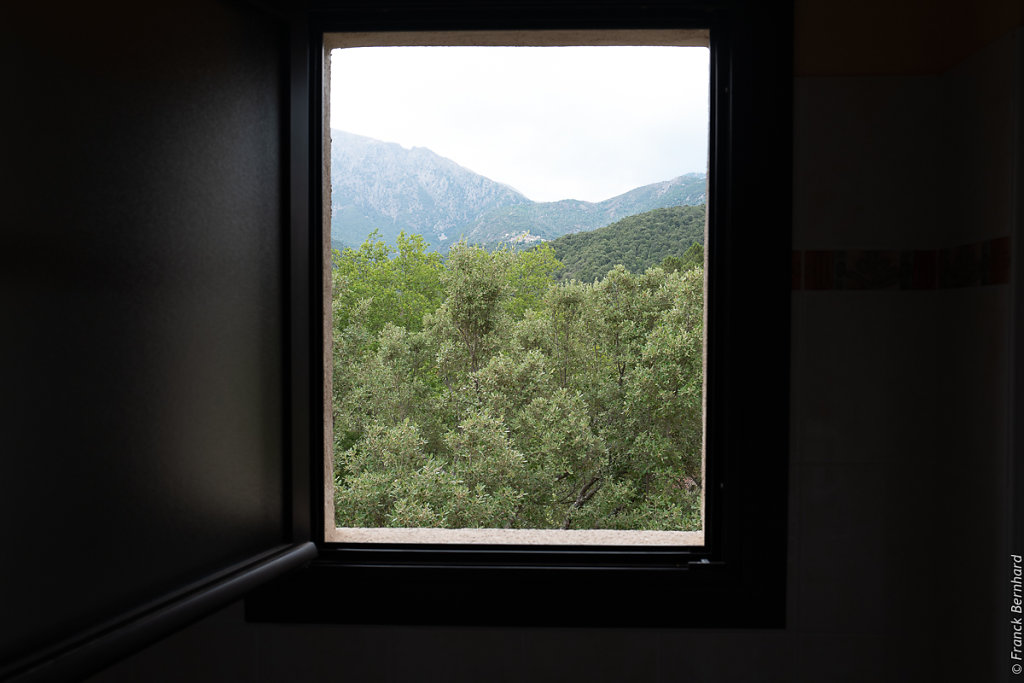 L1150076.jpg
