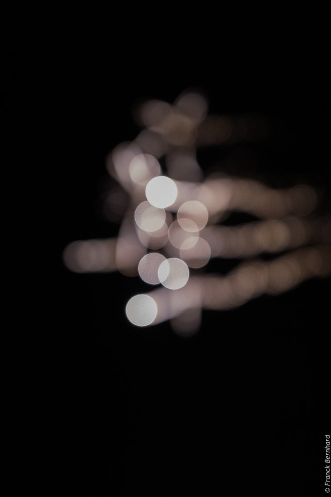 L1010610.jpg