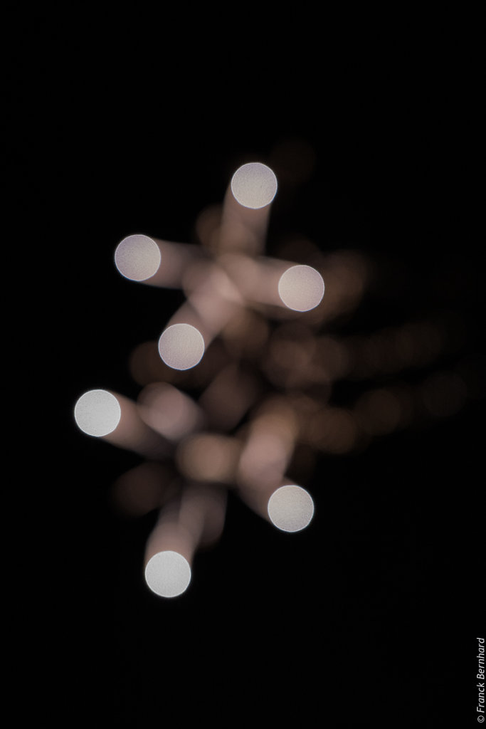 L1010611.jpg