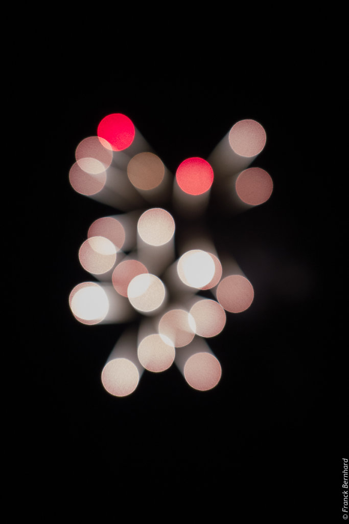 L1040229.jpg